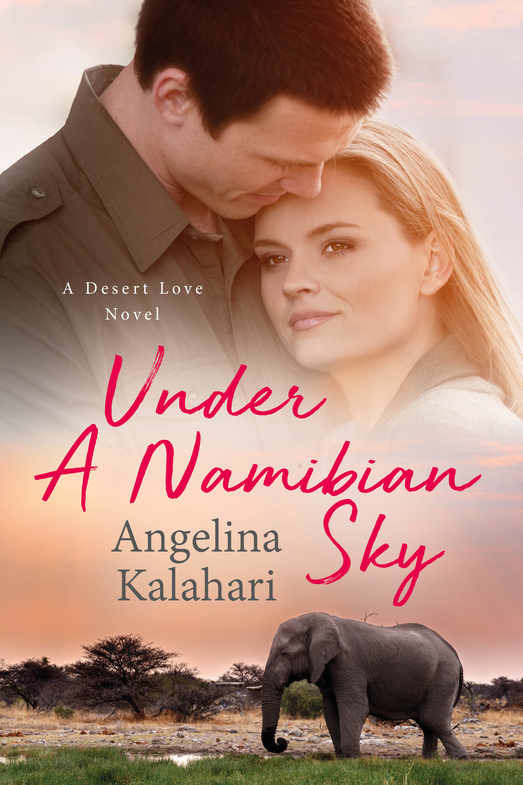 Under a Namibian Sky Cover LARGE EBOOK